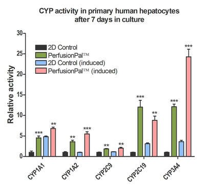 CYP450 activity in primary human hepatocytes in Perfused Organ Panel