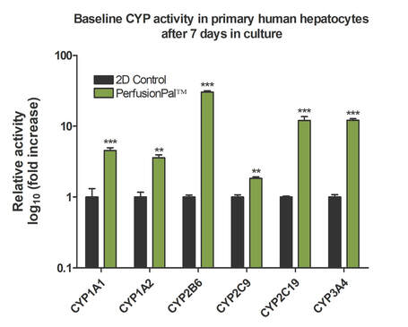 Baseline CYP450 activity in primary human hepatocytes in Perfused Organ Panel microphysiological system