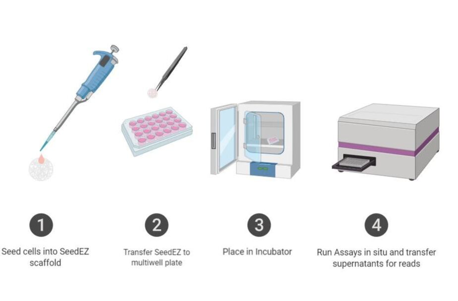 SeedEZ 3D cell culture scaffold workflow